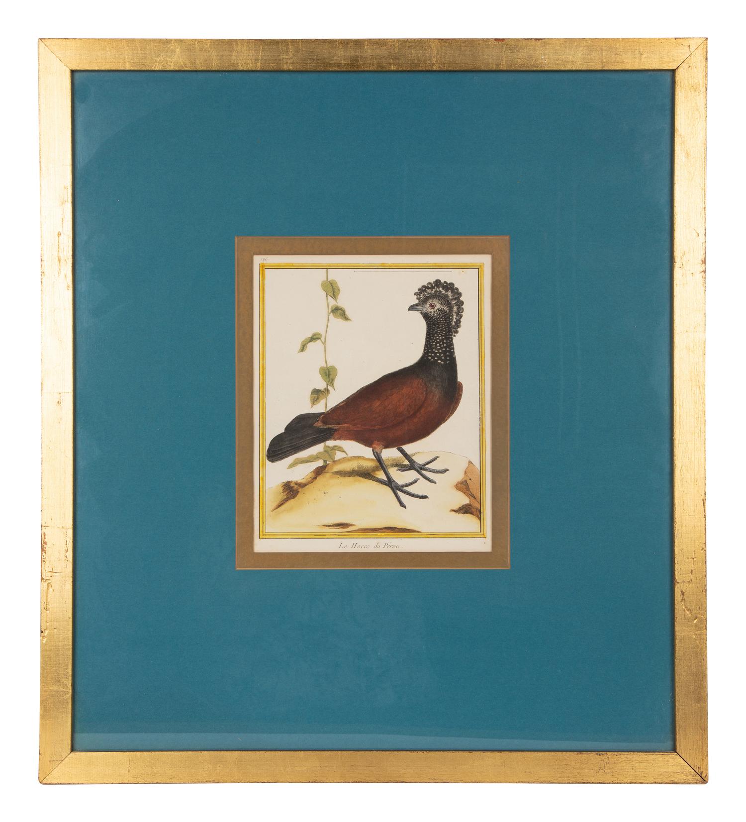 Four Bird Prints after Francoise Martinet's Histoire Naturelle Des Oiseaux — 20TH CENTURY