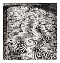 Game Control on Lariak Estate for Gilbert Coleville (from The End of the Game ), 1960