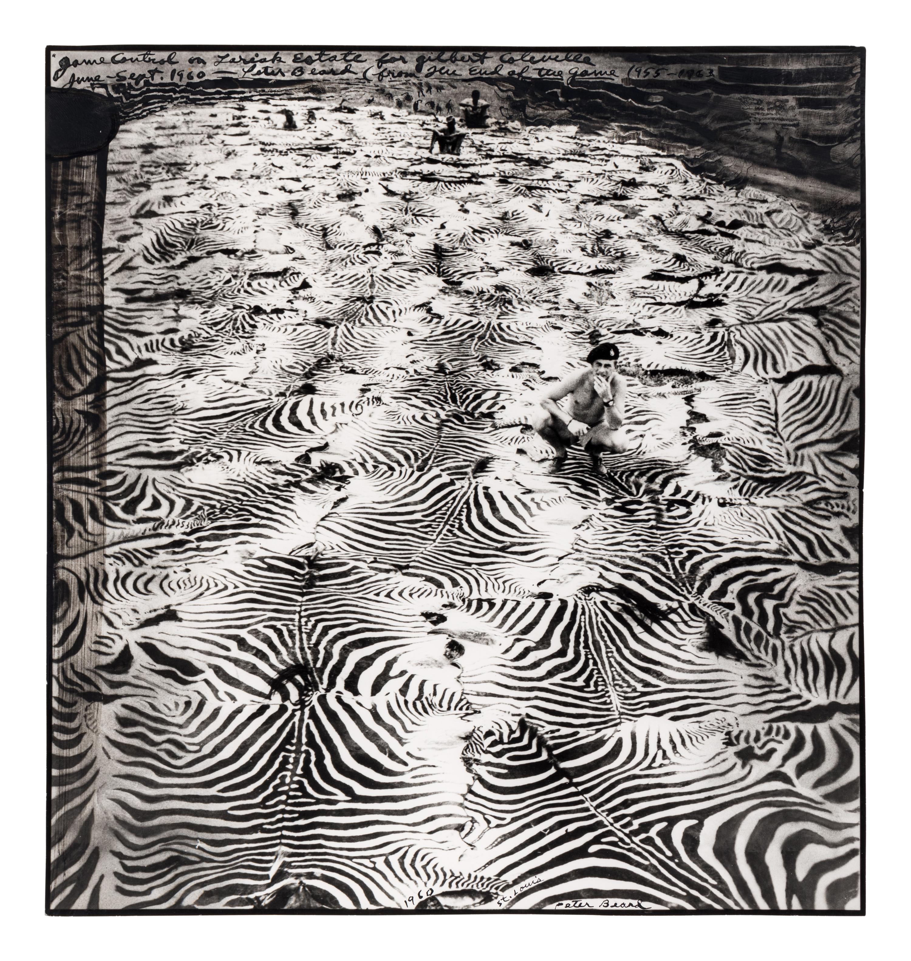 Game Control on Lariak Estate for Gilbert Coleville (from The End of the Game ), 1960