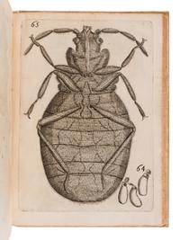 BUONANNI, Filippo (1638-1725). Observationes circa viventia, quae in rebus non viventibus reperiuntur. Cum micrographia curiosa. Rome: Typis Dominici Antonii Herculis, 1691.