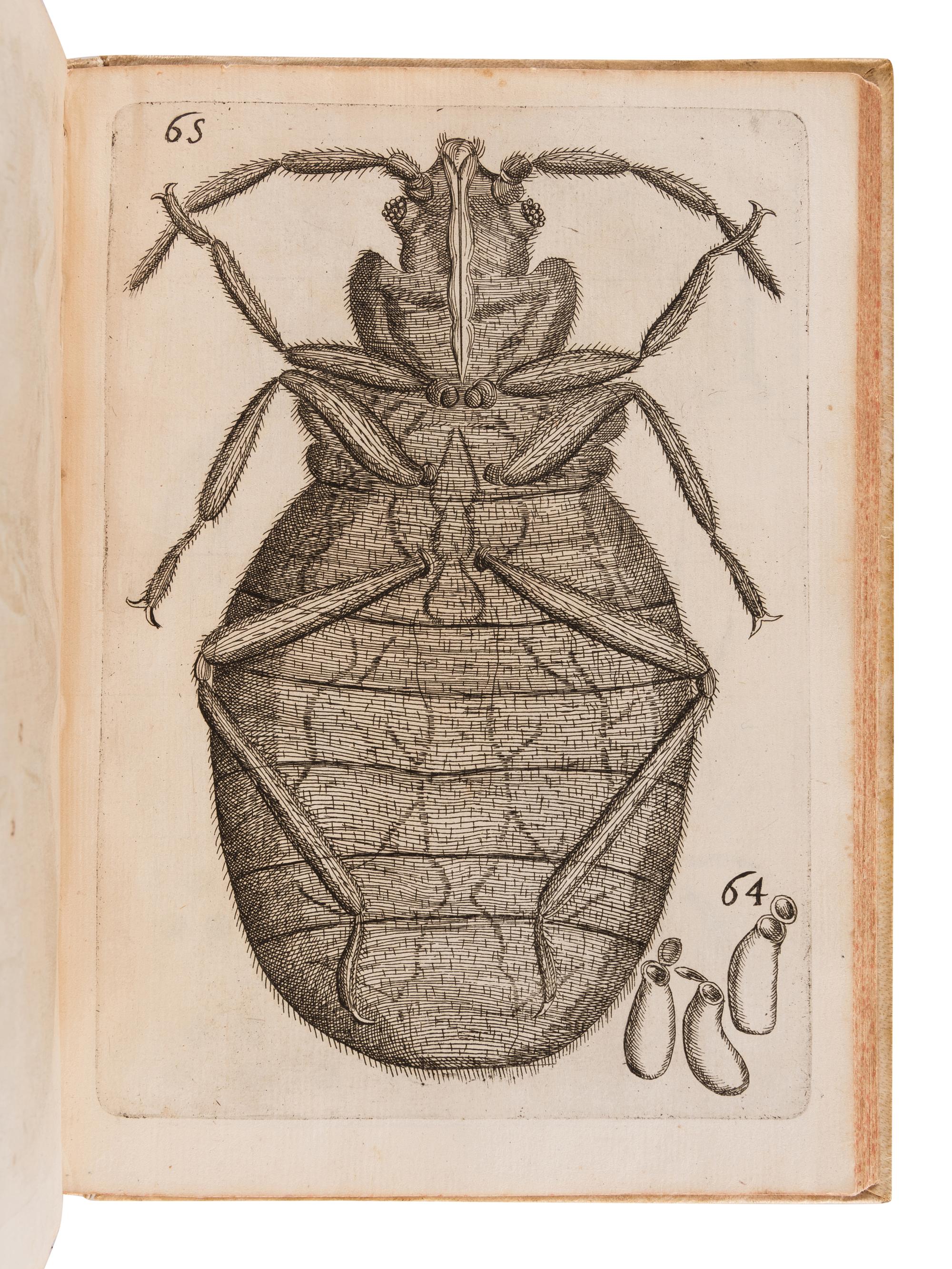BUONANNI, Filippo (1638-1725). Observationes circa viventia, quae in rebus non viventibus reperiuntur. Cum micrographia curiosa. Rome: Typis Dominici Antonii Herculis, 1691.