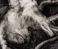 Brett Weston (1911-1993) Jellyfish, 1967