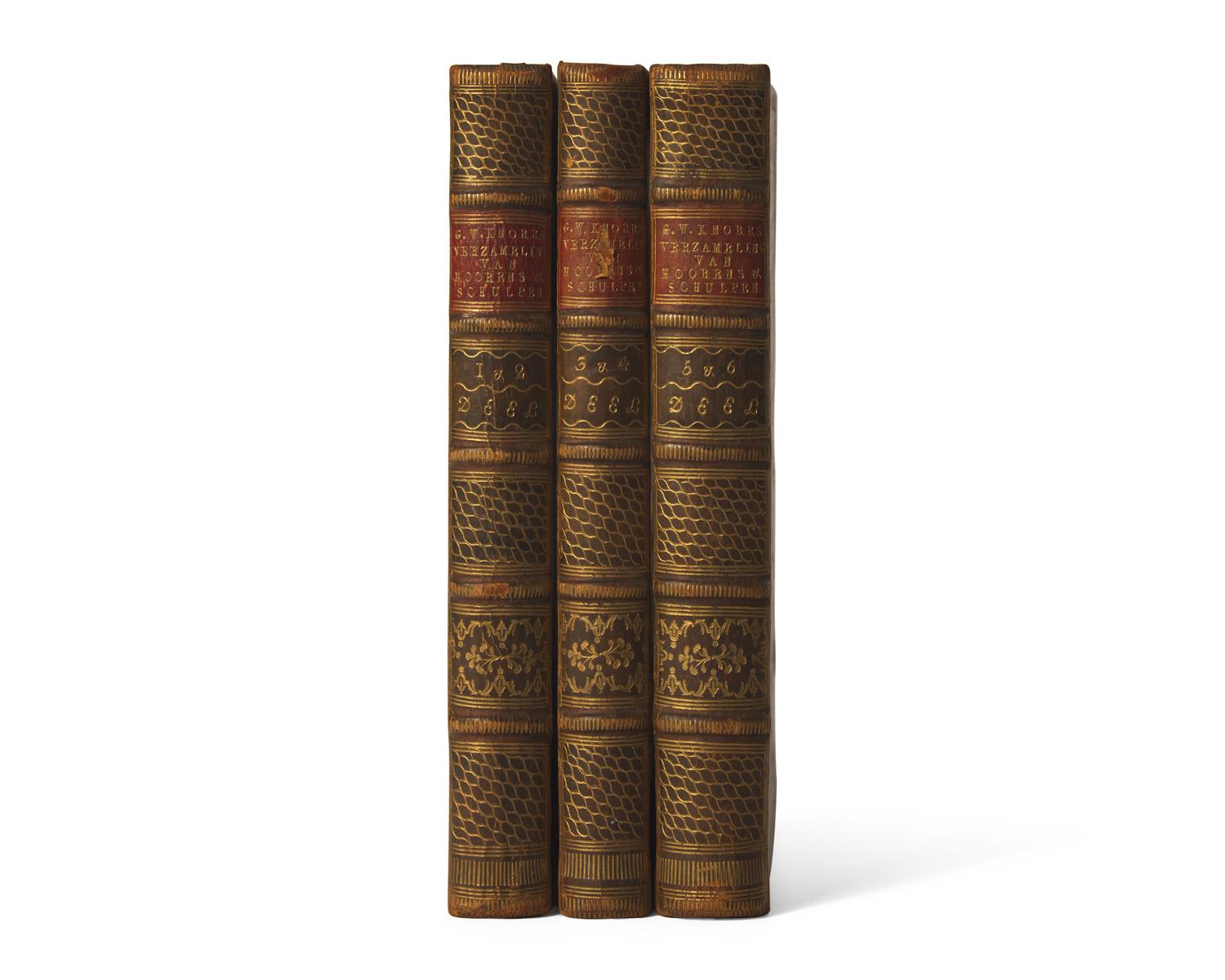 [Natural History] Knorr, Georg Wolfgang. Verlustiging der oogen en van den geest, of Verzameling van allerley bekende Hoorens en Schulpen...