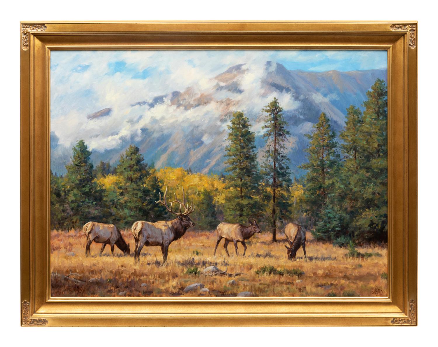 Autumn in the Rockies