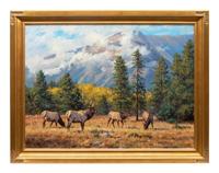 Autumn in the Rockies
