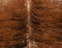 A Pair of Faux Cowhide Rugs