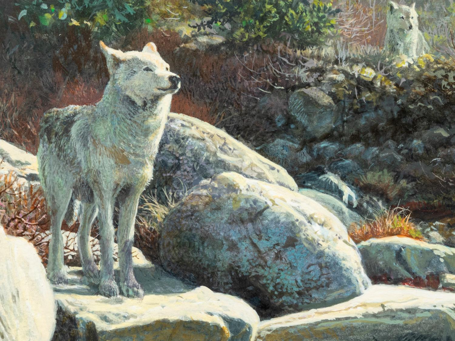 Eastern Timber Wolf , 1999