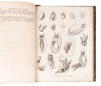 CUVIER, Georges L. C., Baron (1769-1832). A sammelband of 16 articles originally appearing in the Annales du Museum d'Histoire Naturelle . Paris, ca 1802-1815. Comprising: