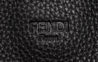 Fendi Selleria Anna Shoulder Bag