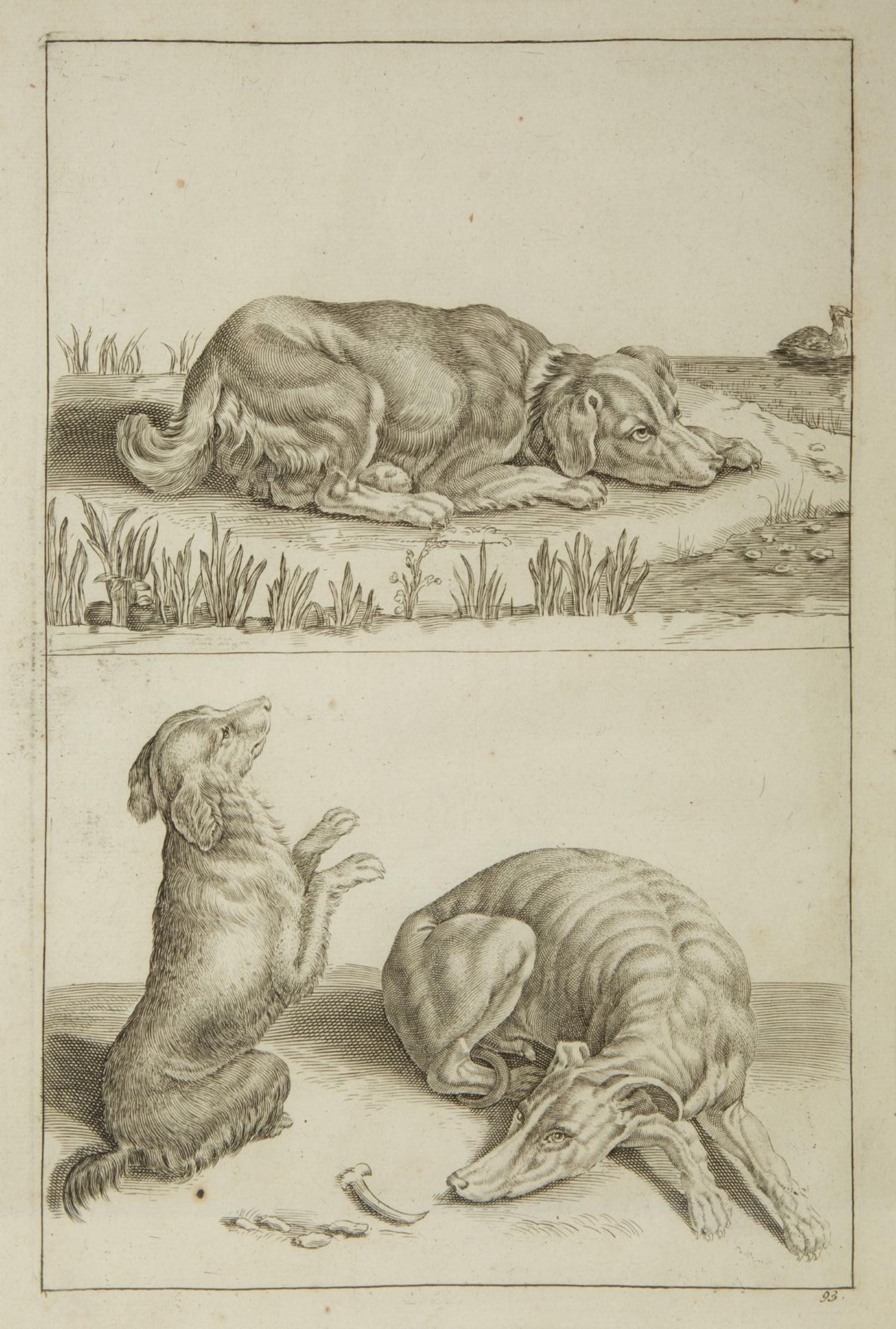 A Group of Ten Framed Continental Engravings — 18TH/19TH CENTURY