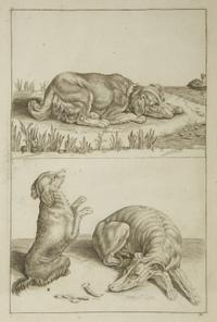A Group of Ten Framed Continental Engravings — 18TH/19TH CENTURY