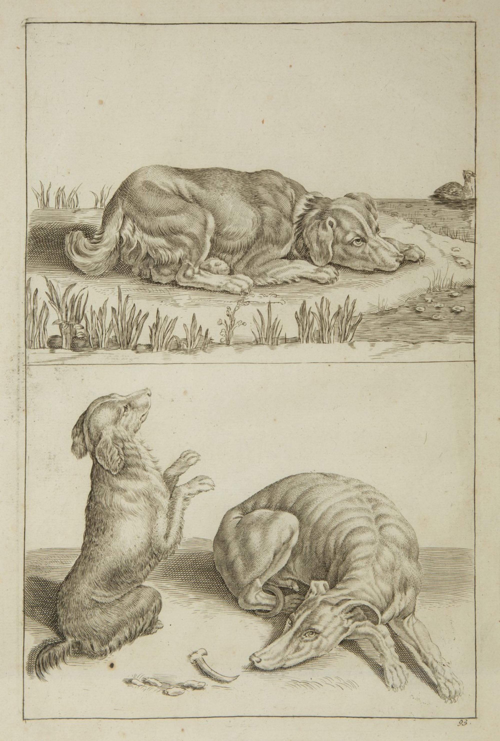 A Group of Ten Framed Continental Engravings — 18TH/19TH CENTURY