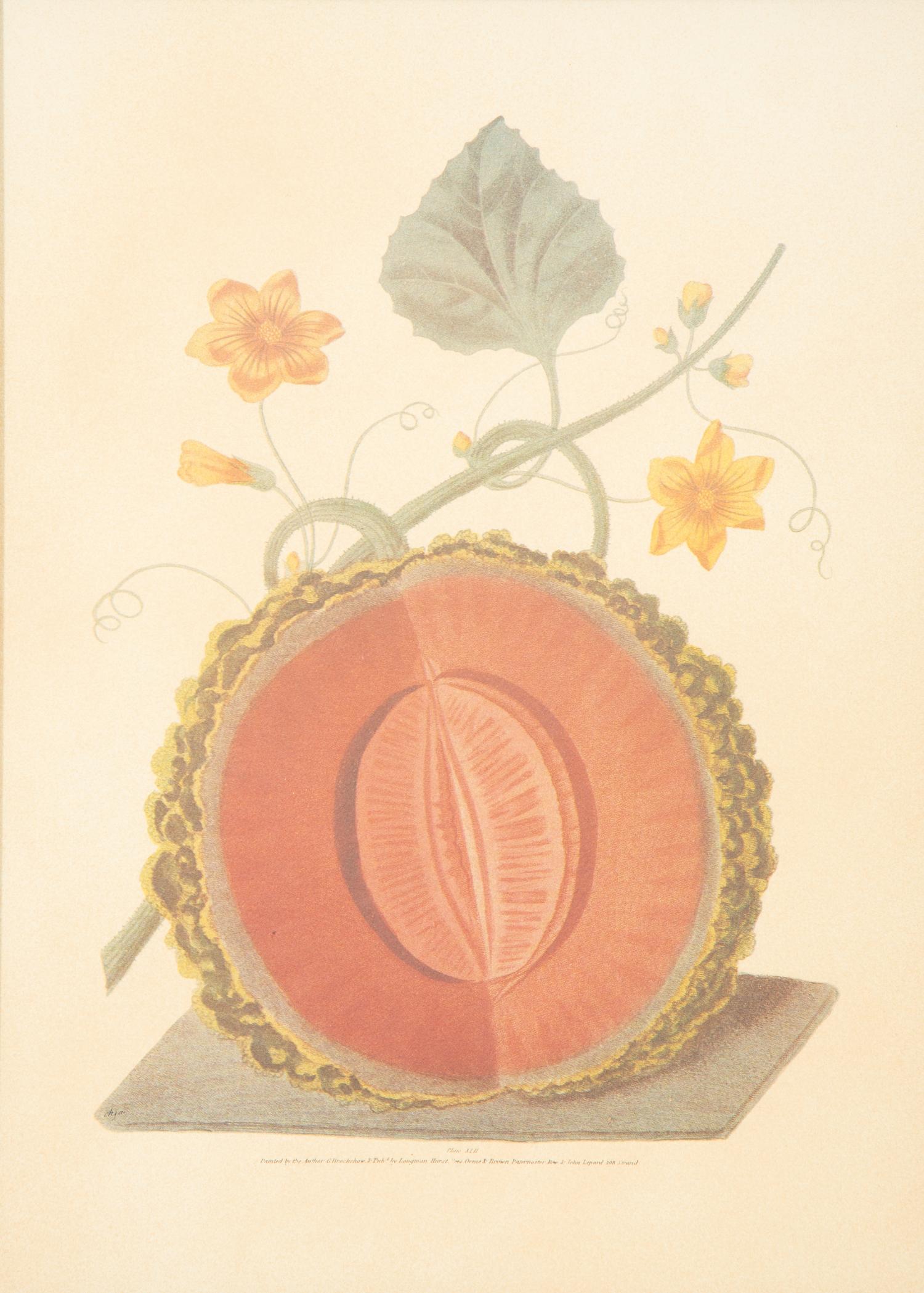 Two George Brookshaw Pomona Britanica Plates