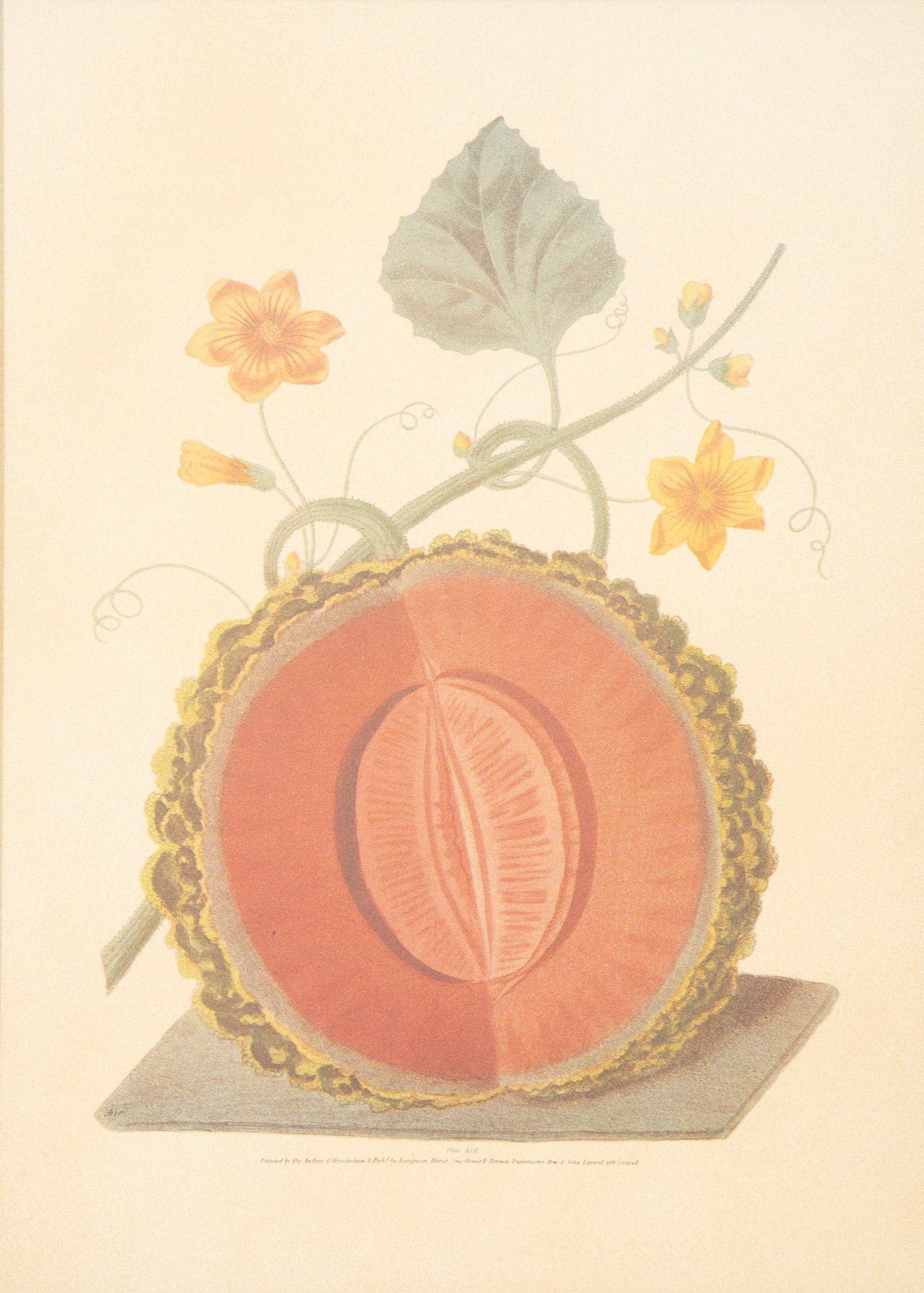 Two George Brookshaw Pomona Britanica Plates