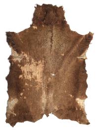 A Northern Plains Buffalo Robe First: approximately 82 x 65 inches.