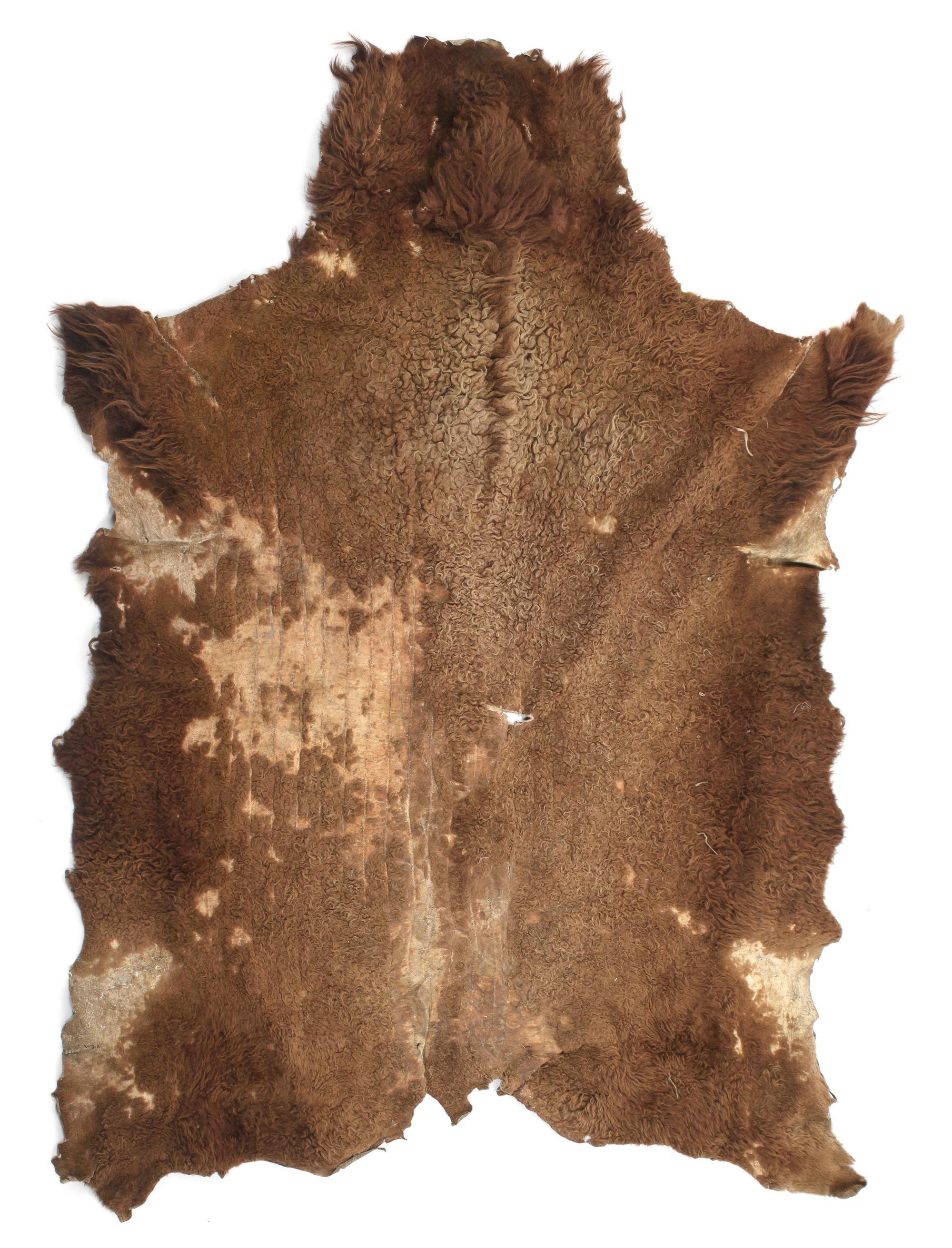 A Northern Plains Buffalo Robe First: approximately 82 x 65 inches.