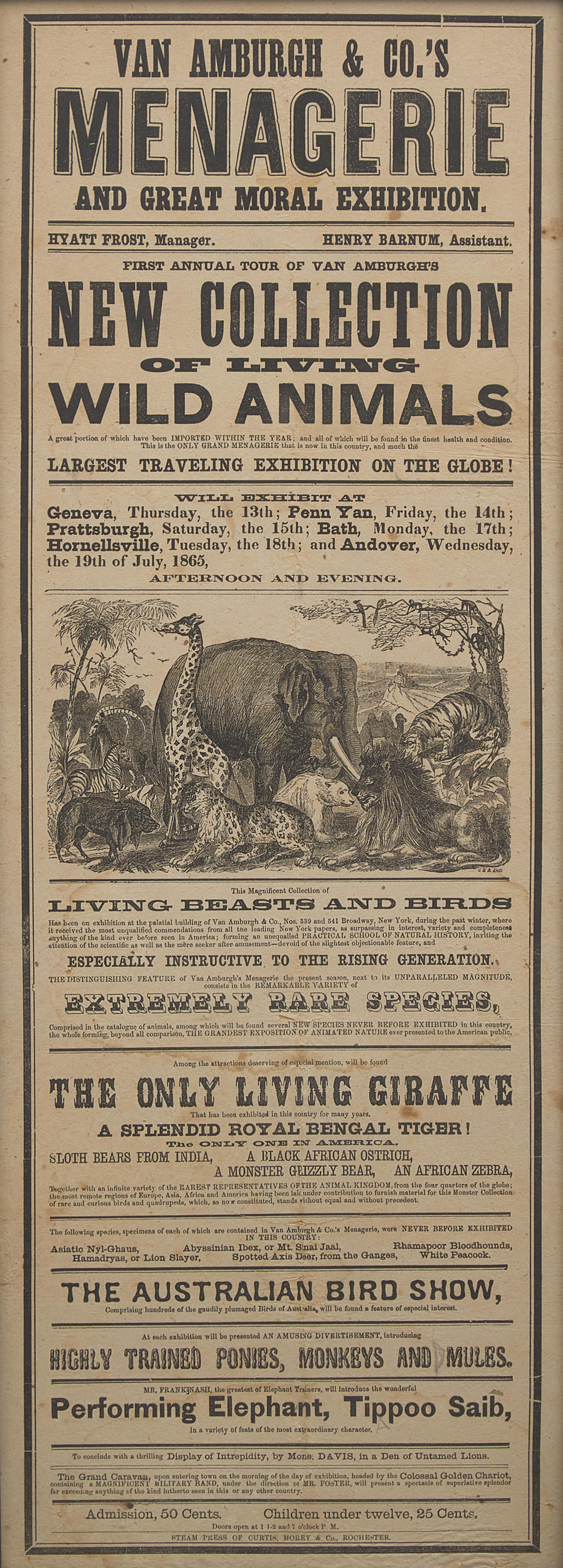 [Circus] [Van Amburgh, Isaac A.] Van Amburgh & Co.'s Menagerie and Great Moral Exhibition