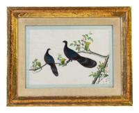 Seven Chinese Export Ornithological Scenes on Pith