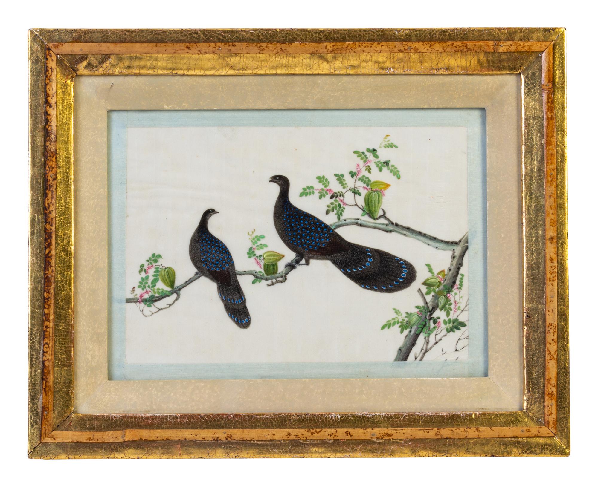 Seven Chinese Export Ornithological Scenes on Pith