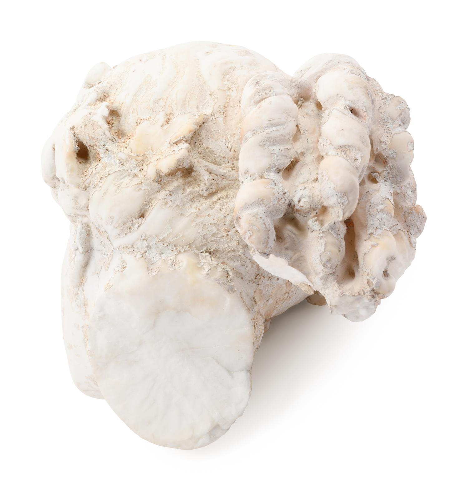 A Graeco-Roman Style Marble Head of a Woman
