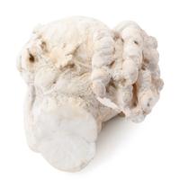 A Graeco-Roman Style Marble Head of a Woman