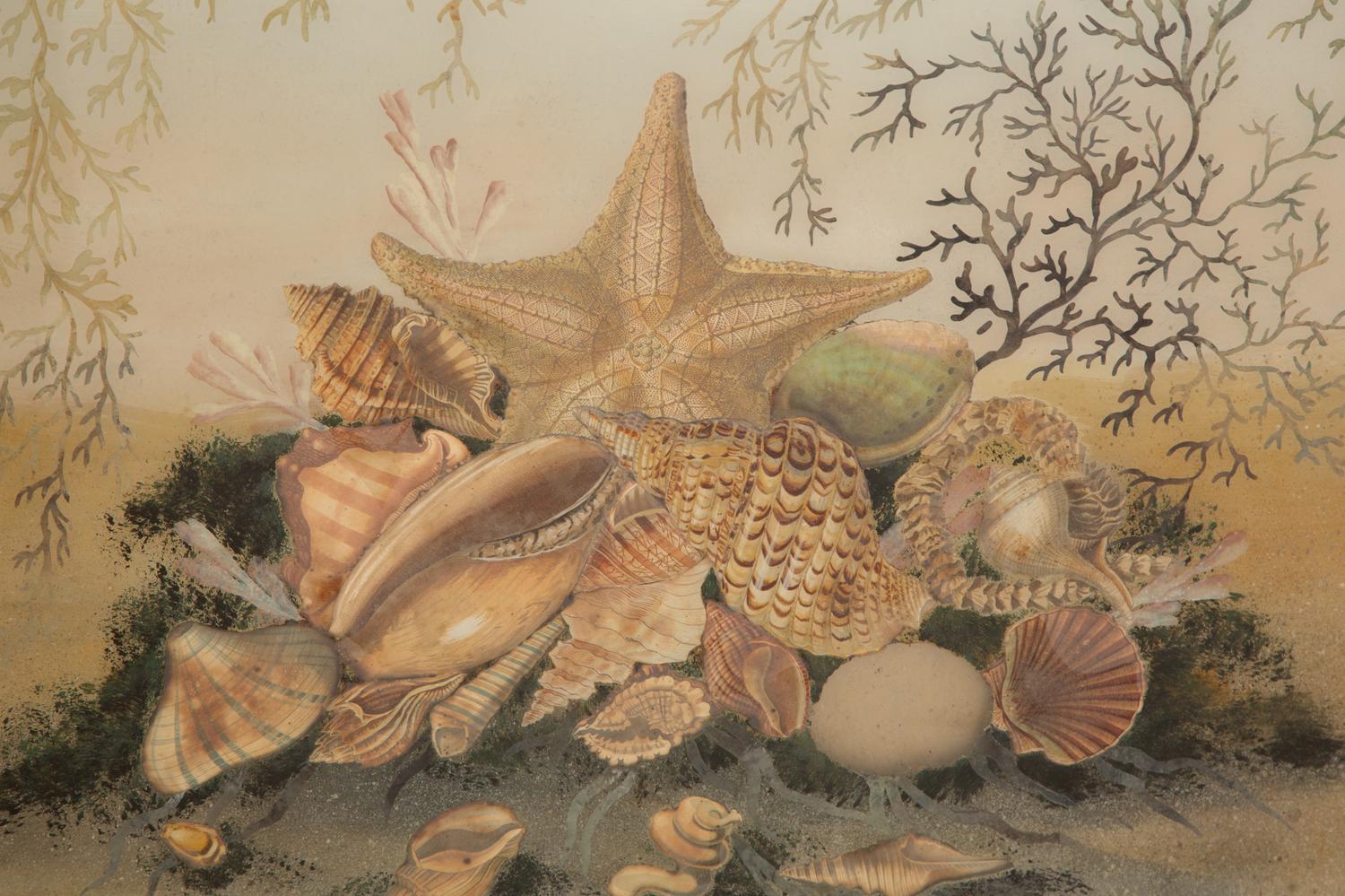 A Reverse-Painted Glass Shell Still Life Picture in a Mirrored Frame