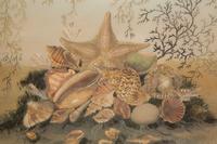 A Reverse-Painted Glass Shell Still Life Picture in a Mirrored Frame