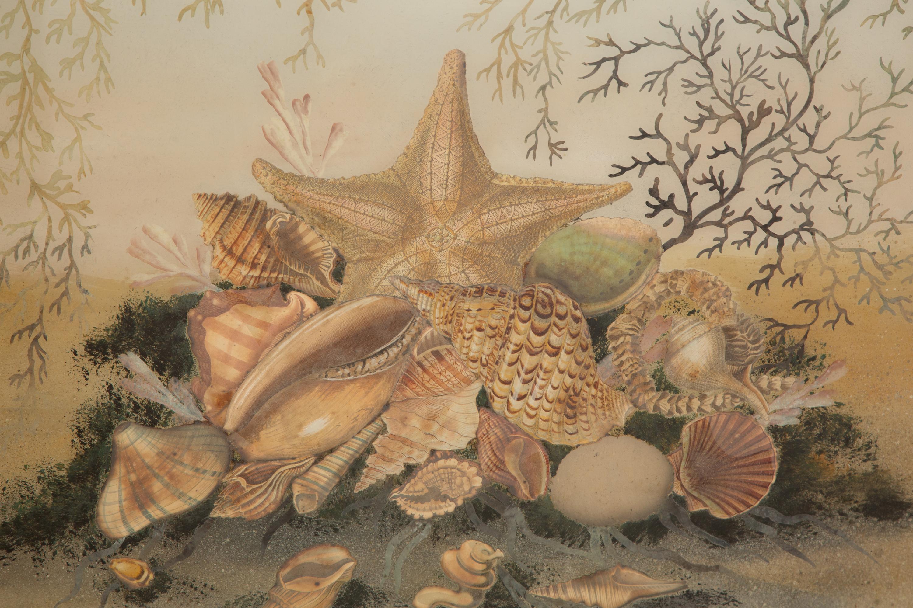 A Reverse-Painted Glass Shell Still Life Picture in a Mirrored Frame