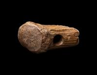 A Mesolithic Fossil Antler Adze