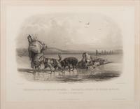 BODMER, Karl (1809-1893). ACKERMANN & Co., publisher. Dog-Sledges of the Mandan Indians.