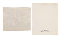 A pair of photographs depicting trees, Saint-Cloud ( Saint-Cloud [chene], 1921; Saint-Cloud [19h matin, mars 1926] , 1926)
