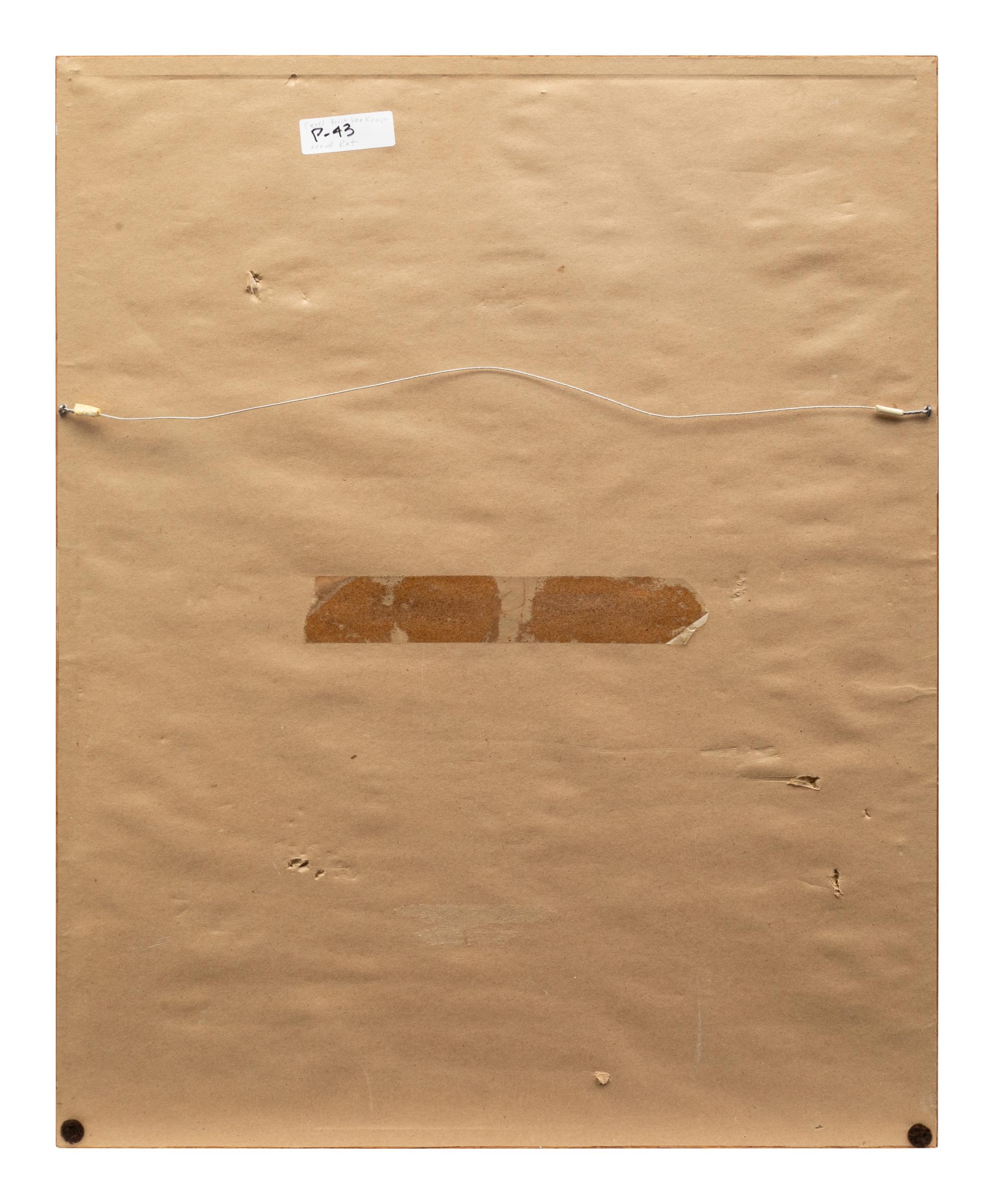 Wood Rat , 1993