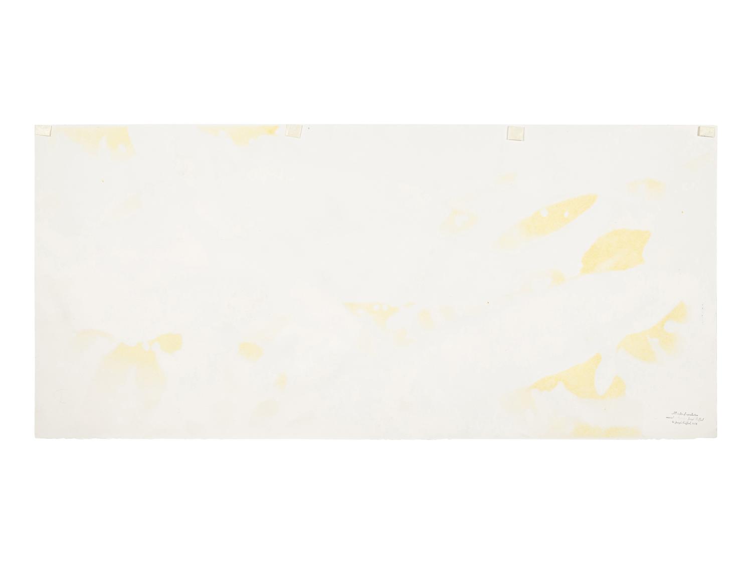 Untitled (Nine Fish) , 1978