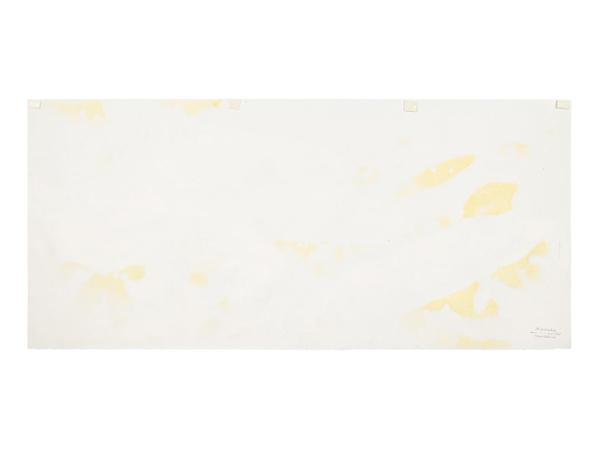 Untitled (Nine Fish) , 1978