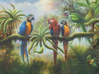 Four Parrots in a Jungle