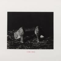 Cure/Heal (from the portfolio 10 Artists as Catalyst published by the Alternative Museum, New York)
