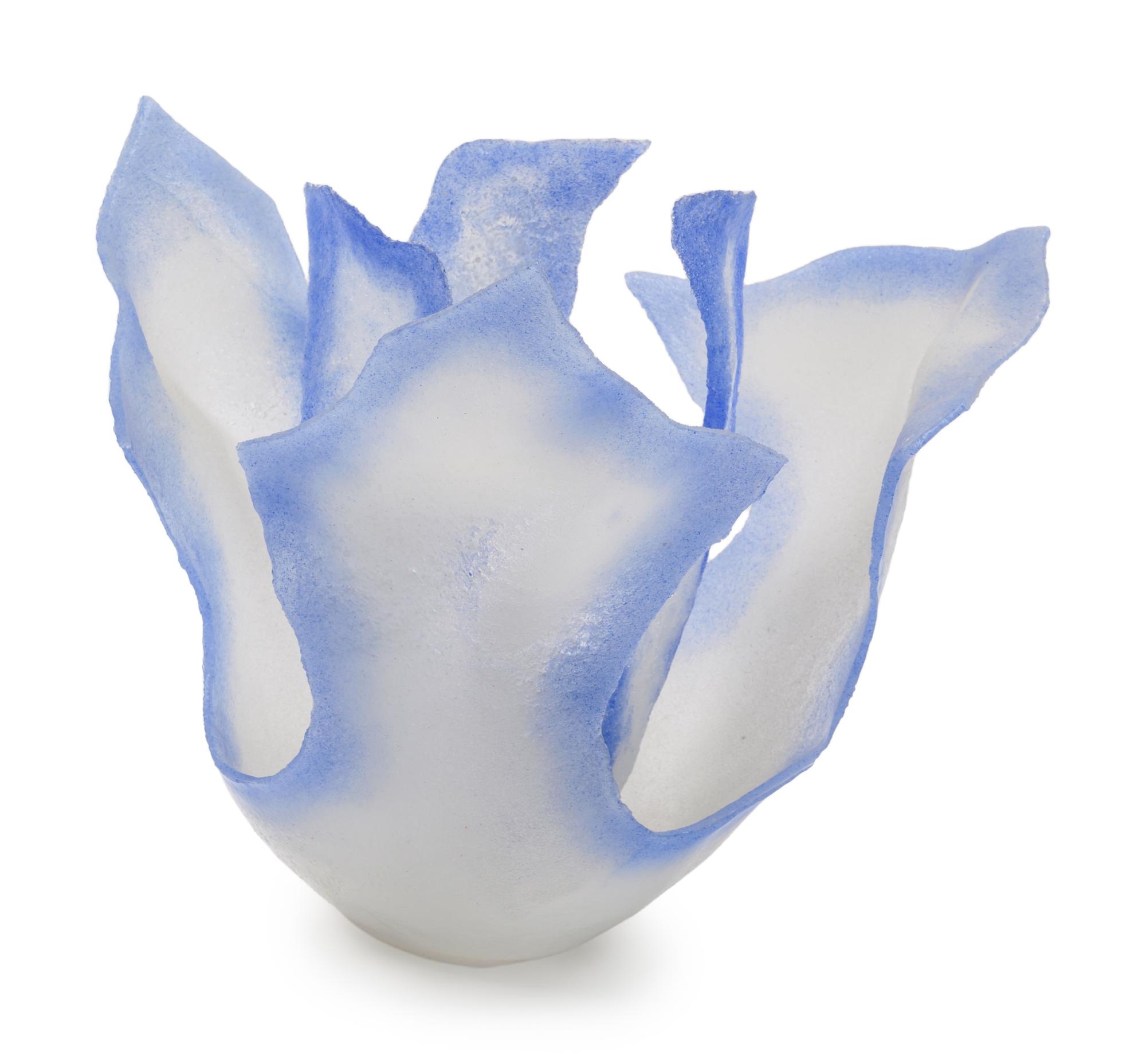 Blue Iris , 2007