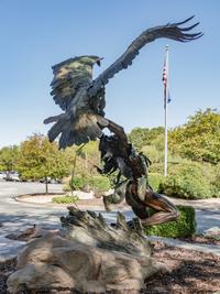 Eagle Catcher