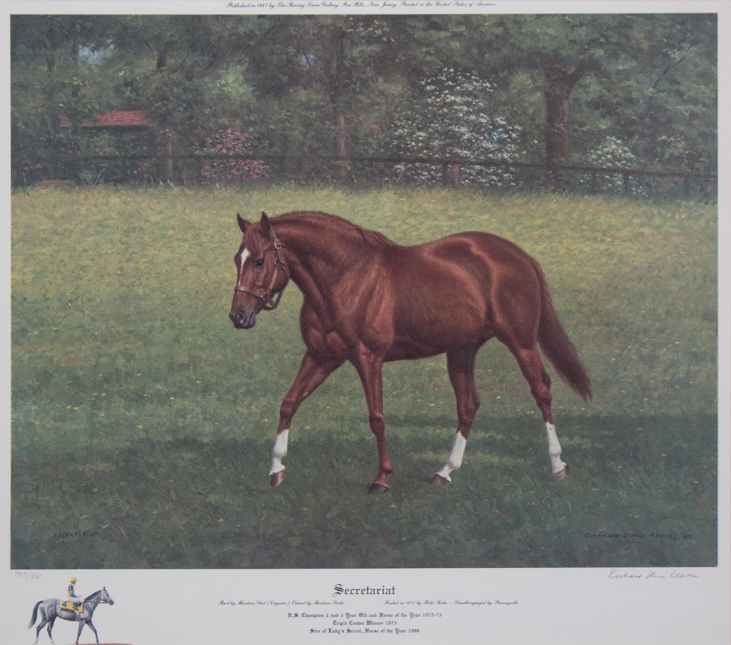 Nineteen Equestrian Prints