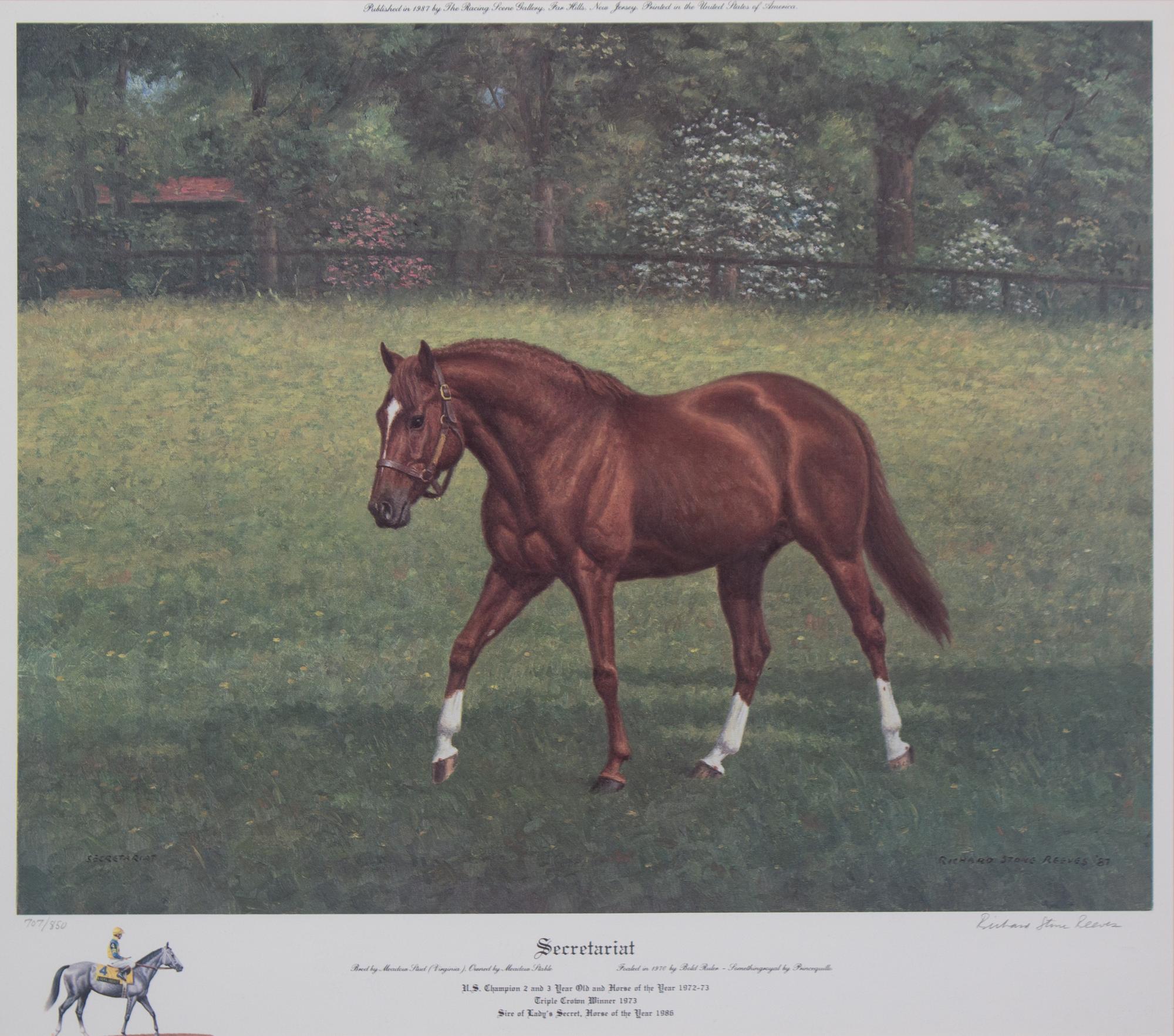 Nineteen Equestrian Prints