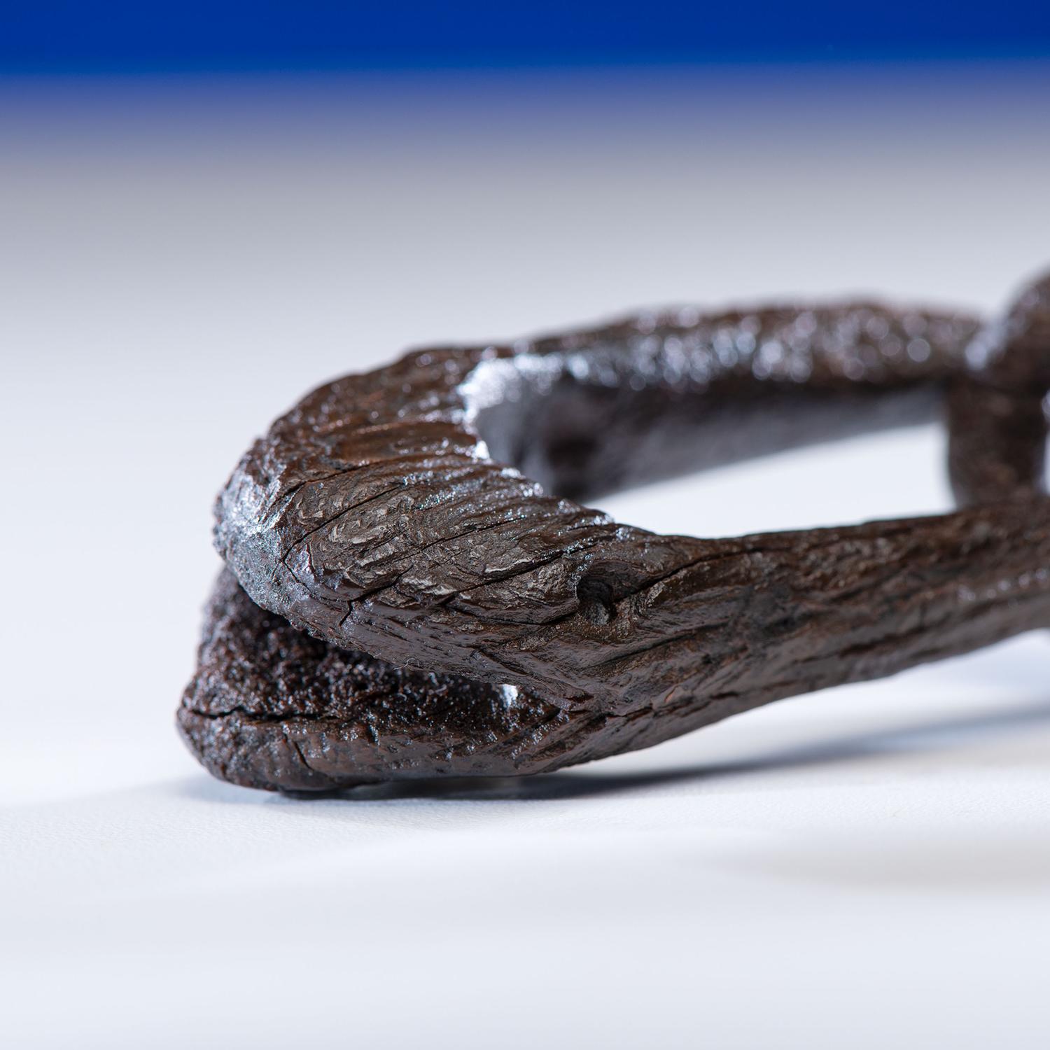 Ipiutak Culture, Fossilized Ivory Effigy Chain Link