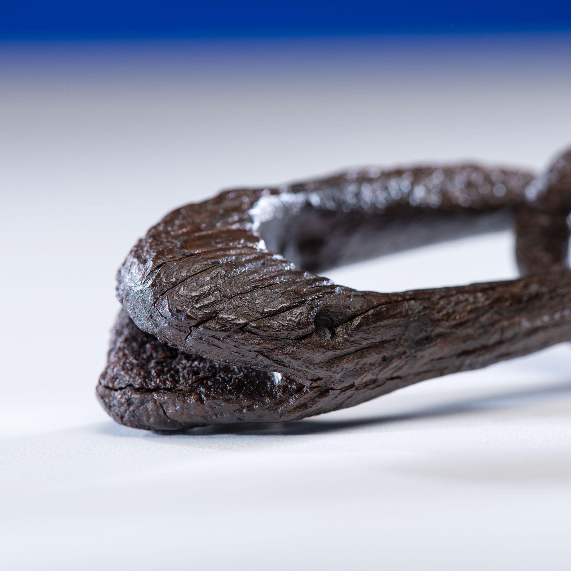 Ipiutak Culture, Fossilized Ivory Effigy Chain Link