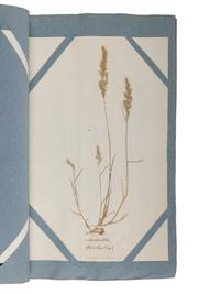 [NATURAL HISTORY - SPECIMEN ALBUMS]. CURTIS, William and William SALISBURY. Hortus siccus gramineus or, a collection of dried specimens of British grasses . Brompton: Botanic Garden, 1802.