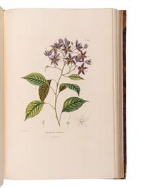 [EXPLORATION -- AMERICAS]. HUMBOLDT, Alexander von (1769-1859) and Aime J. A. BONPLAND (1773-1858). Voyage aus regions equinoctiales du nouveau continent . Part VI: Botanique. Nova genera et species plantarum... . Paris: Librairie Grecque-Latine-Allemande, 1818.