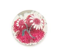 A Group of Four Paperweights