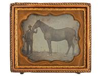 [EARLY PHOTOGRAPHY]. A sixth plate daguerreotype featuring a horse.