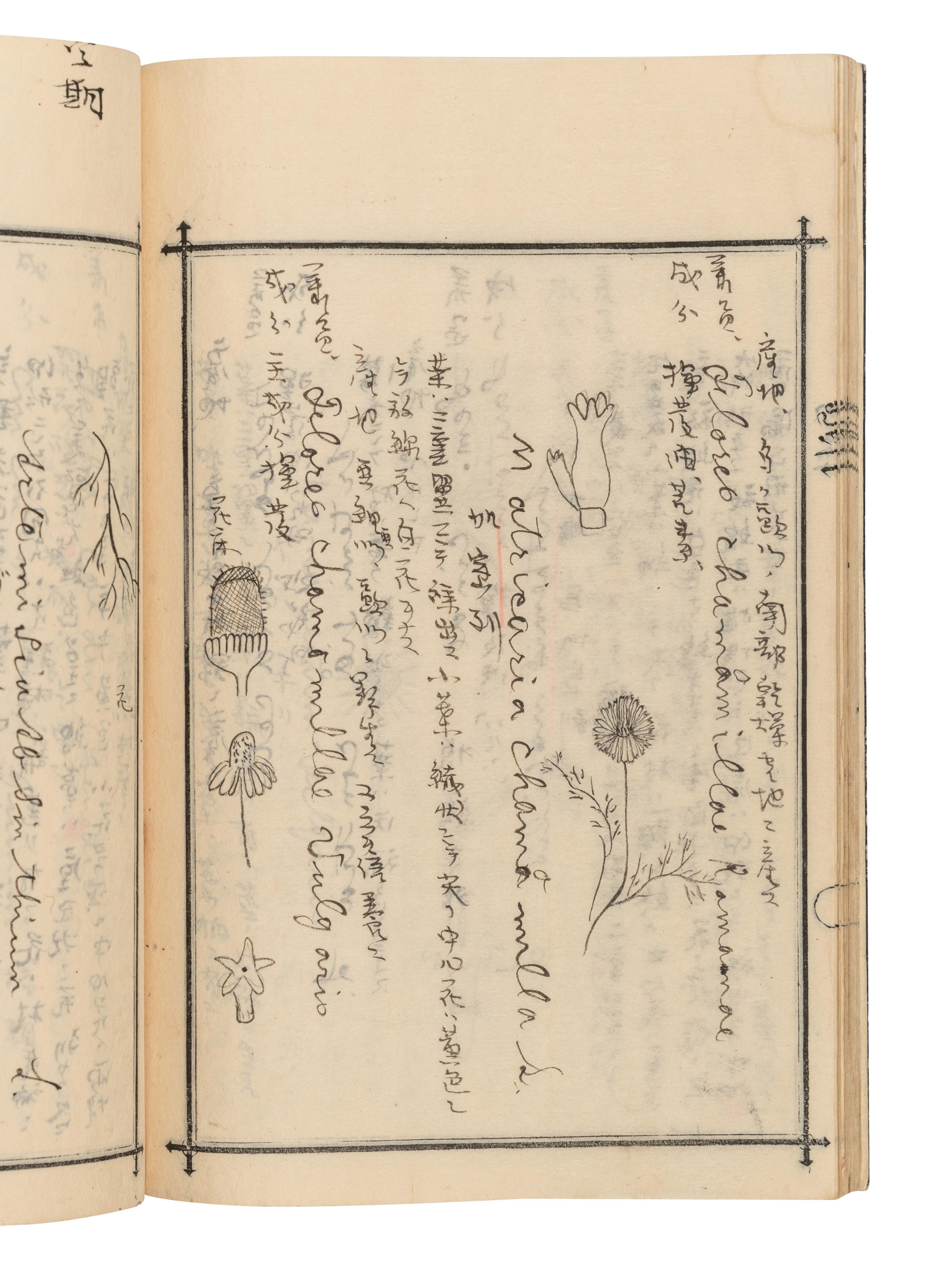 [MEDICINE -- MANUSCRIPT]. Collection of lecture notebooks from courses taken in anatomy, materia medica and other medical subjects at the Kyoto Imperial University. [Kyoto, 1900].