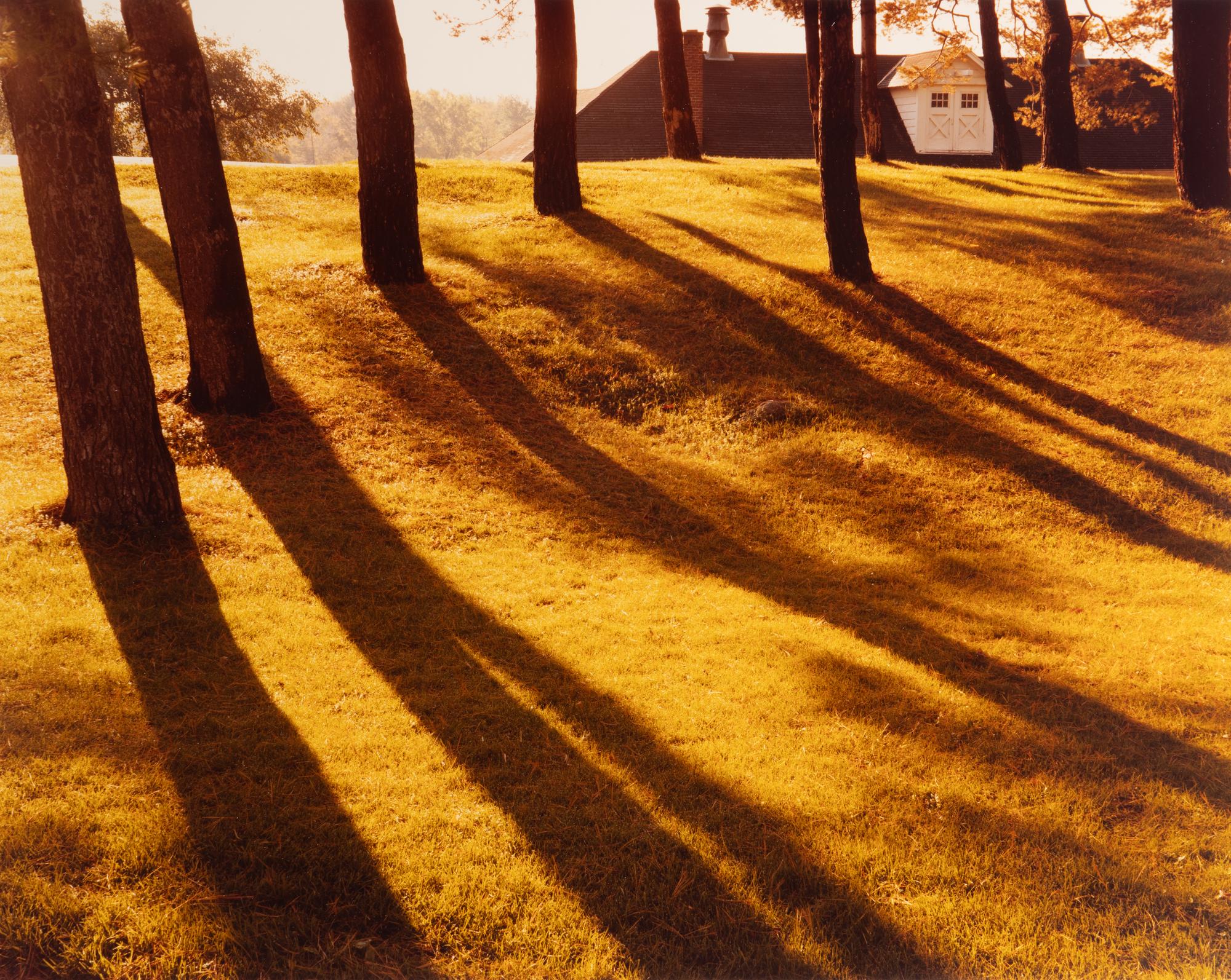 Eighteen Photographs, 1958-1979; printed 1982