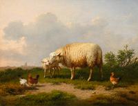 Sheep and Chickens