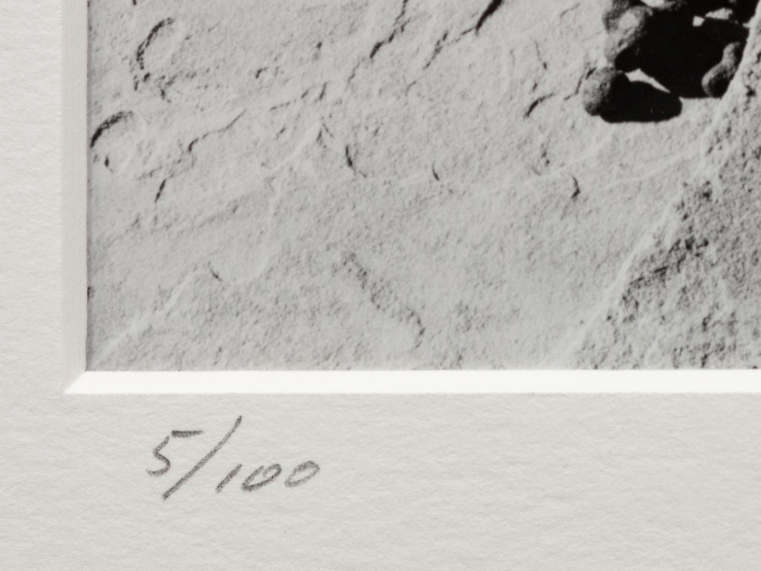 A group of four photographs ( Moqui Marbles, Arizona; Sumacs in Snow, North Conway, New Hampshire; Desert Trumpet in Snow, Utah; Untitled - Snow Covered Trees on Hillside )
